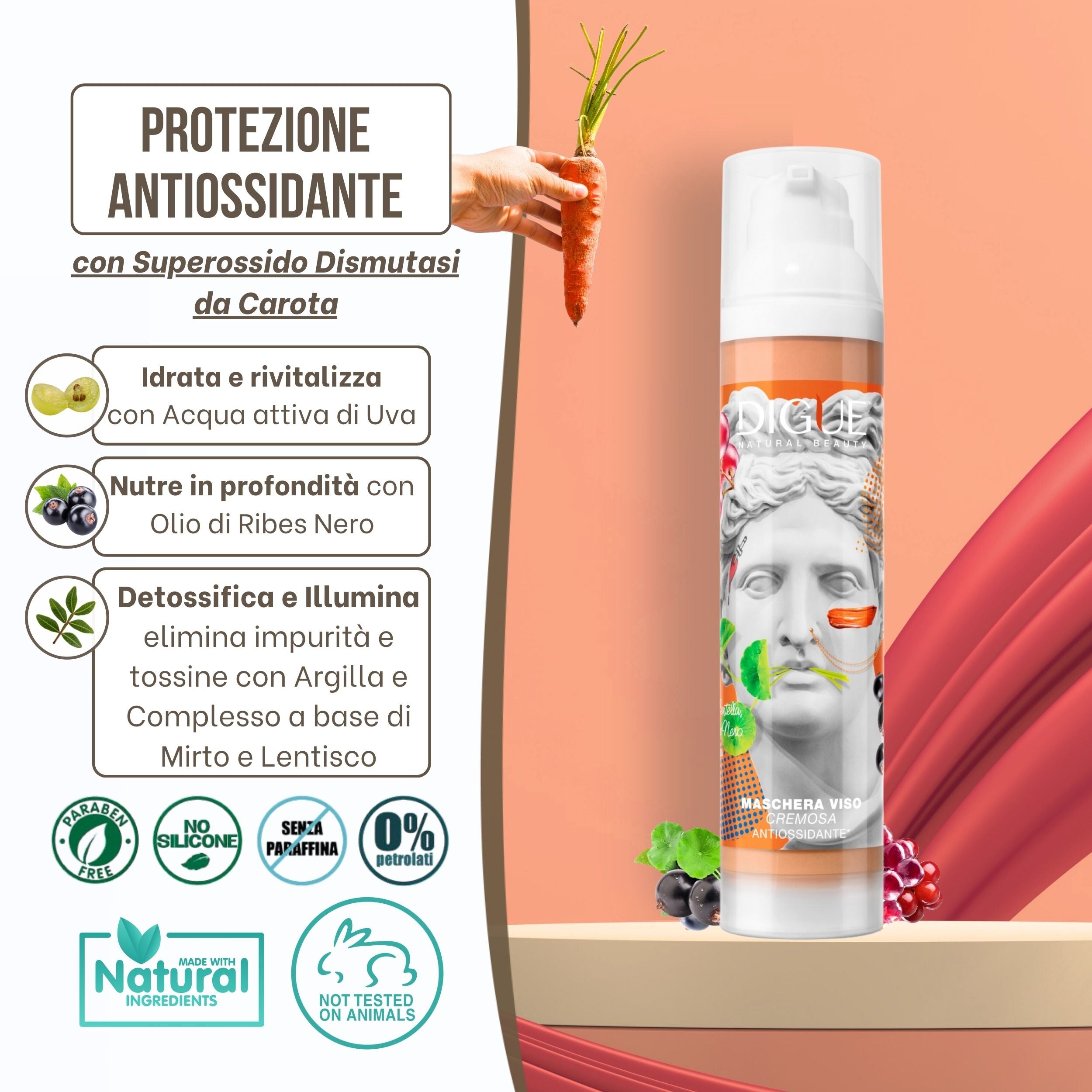 Maschera Viso Bio Antiossidante - Trattamento Nutriente e Idratante per pelle Matura e Spenta